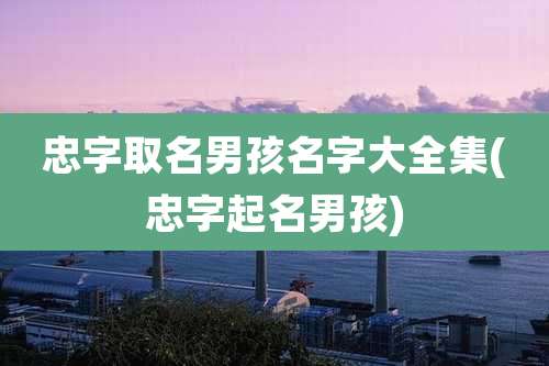 忠字取名男孩名字大全集(忠字起名男孩)