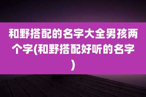 和野搭配的名字大全男孩两个字(和野搭配好听的名字)