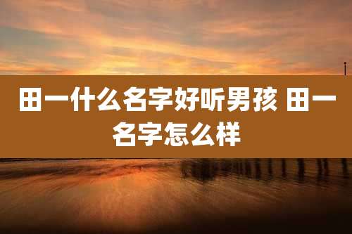 田一什么名字好听男孩 田一名字怎么样