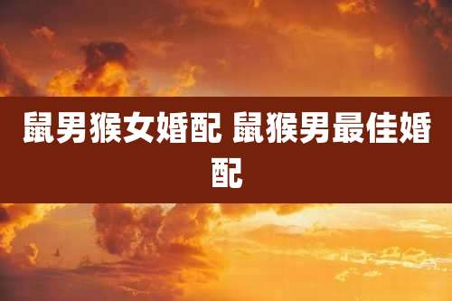 鼠男猴女婚配 鼠猴男最佳婚配