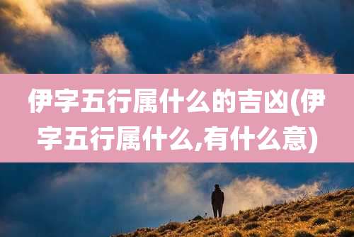 伊字五行属什么的吉凶(伊字五行属什么,有什么意)