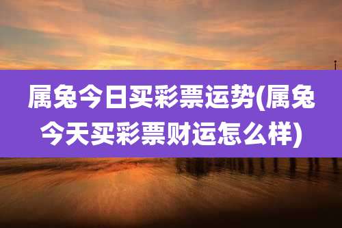 属兔今日买彩票运势(属兔今天买彩票财运怎么样)