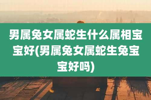 男属兔女属蛇生什么属相宝宝好(男属兔女属蛇生兔宝宝好吗)