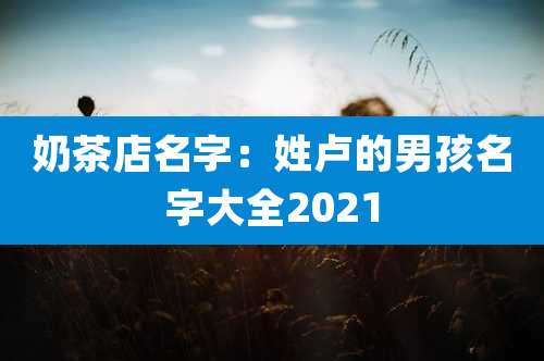 奶茶店名字:姓卢的男孩名字大全2021