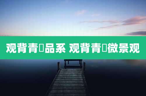 观背青鳉品系 观背青鳉微景观