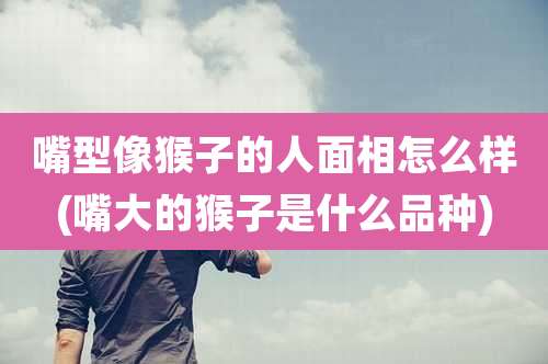 嘴型像猴子的人面相怎么样(嘴大的猴子是什么品种)