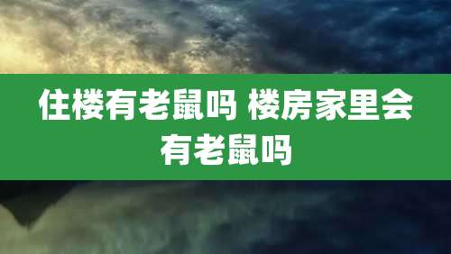 住楼有老鼠吗 楼房家里会有老鼠吗