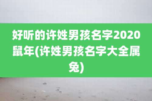 好听的许姓男孩名字2020鼠年(许姓男孩名字大全属兔)