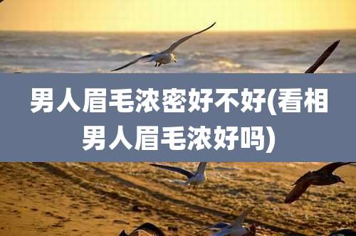 男人眉毛浓密好不好(看相男人眉毛浓好吗)