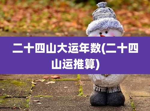 二十四山大运年数(二十四山运推算)