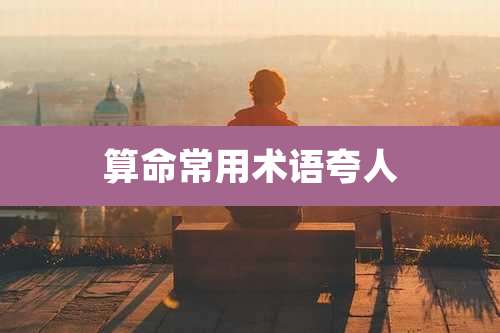 算命常用术语夸人