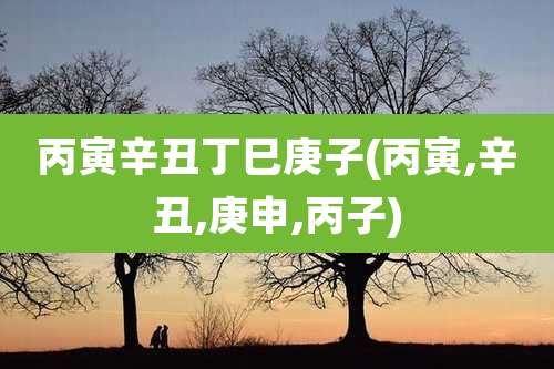 丙寅辛丑丁巳庚子(丙寅,辛丑,庚申,丙子)