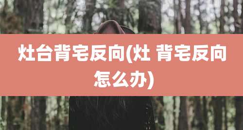 灶台背宅反向(灶 背宅反向 怎么办)