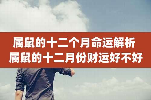 属鼠的十二个月命运解析 属鼠的十二月份财运好不好
