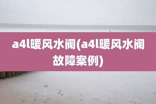 a4l暖风水阀(a4l暖风水阀故障案例)