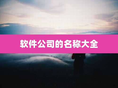 软件公司的名称大全