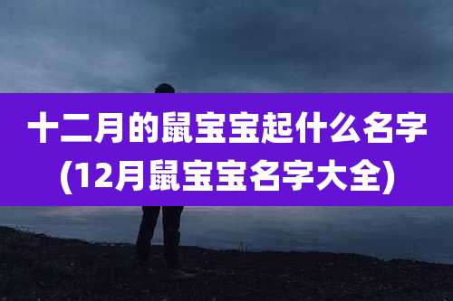 十二月的鼠宝宝起什么名字(12月鼠宝宝名字大全)