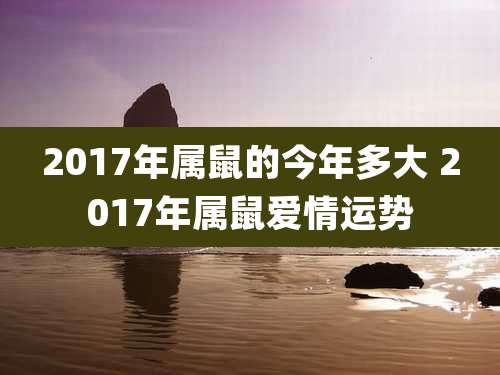 2017年属鼠的今年多大 2017年属鼠爱情运势