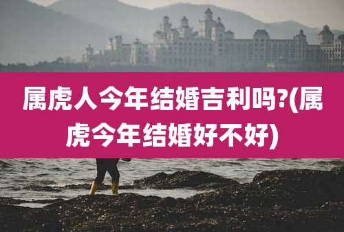 属虎人今年结婚吉利吗?(属虎今年结婚好不好)