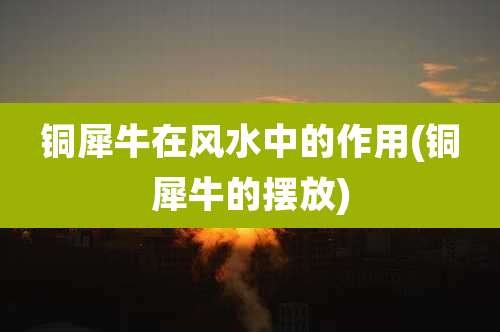 铜犀牛在风水中的作用(铜犀牛的摆放)