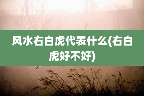 风水右白虎代表什么(右白虎好不好)