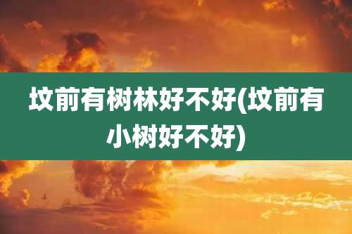 坟前有树林好不好(坟前有小树好不好)