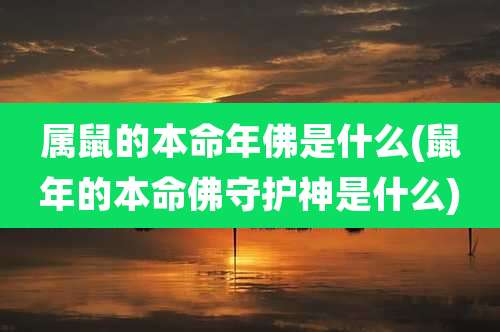 属鼠的本命年佛是什么(鼠年的本命佛守护神是什么)