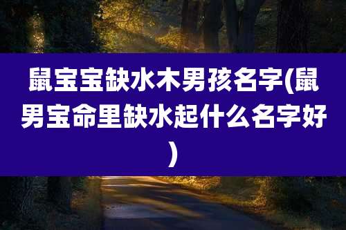 鼠宝宝缺水木男孩名字(鼠男宝命里缺水起什么名字好)