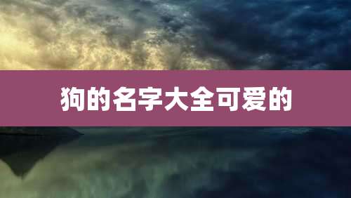 狗的名字大全可爱的