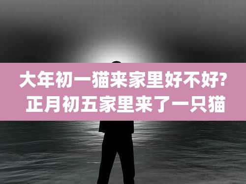 大年初一猫来家里好不好? 正月初五家里来了一只猫