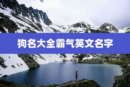狗名大全霸气英文名字