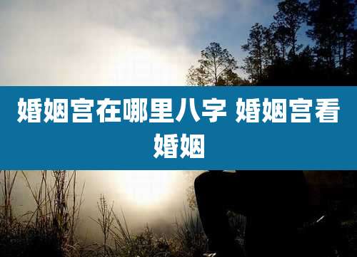 婚姻宫在哪里八字 婚姻宫看婚姻