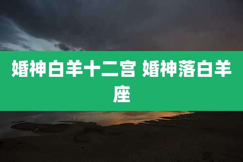 婚神白羊十二宫 婚神落白羊座