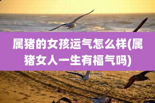 属猪的女孩运气怎么样(属猪女人一生有福气吗)
