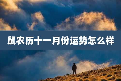 鼠农历十一月份运势怎么样