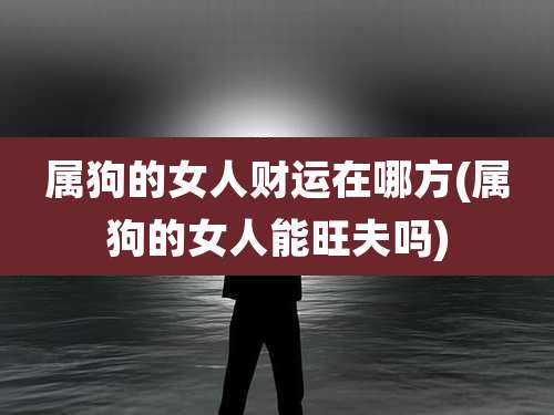 属狗的女人财运在哪方(属狗的女人能旺夫吗)