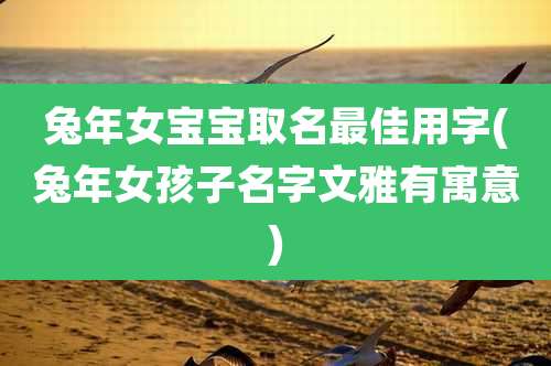 兔年女宝宝取名最佳用字(兔年女孩子名字文雅有寓意)