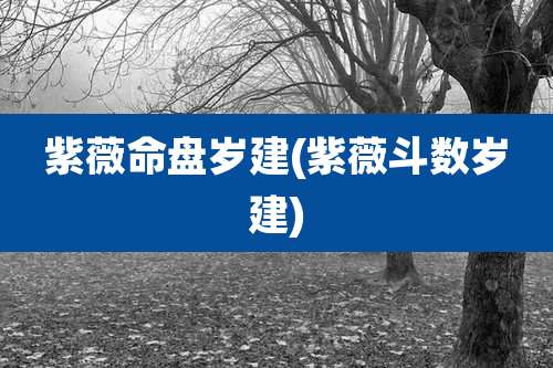 紫薇命盘岁建(紫薇斗数岁建)