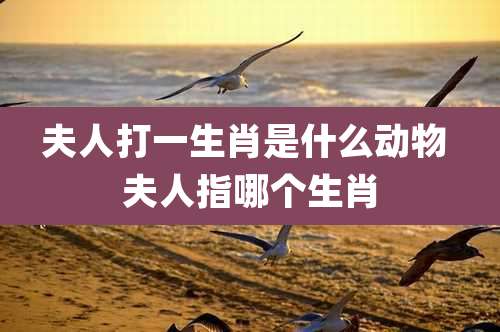 夫人打一生肖是什么动物 夫人指哪个生肖