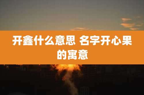 开鑫什么意思 名字开心果的寓意