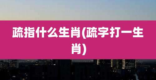 疏指什么生肖(疏字打一生肖)