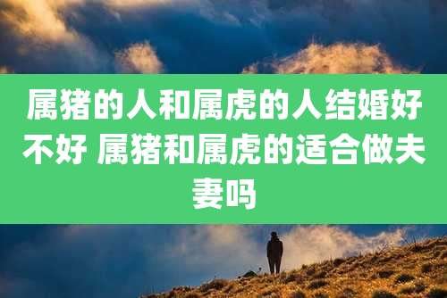 属猪的人和属虎的人结婚好不好 属猪和属虎的适合做夫妻吗