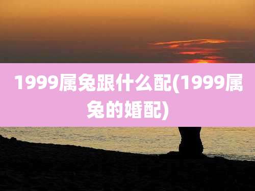 1999属兔跟什么配(1999属兔的婚配)