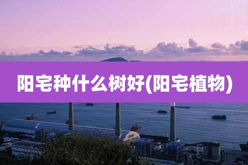 阳宅种什么树好(阳宅植物)