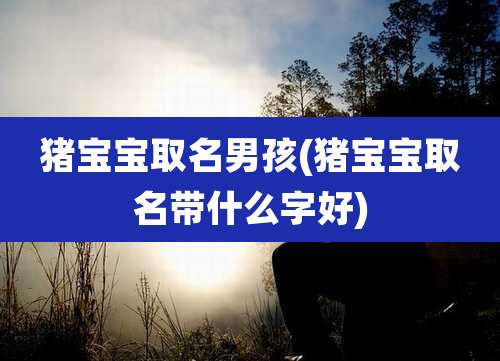 猪宝宝取名男孩(猪宝宝取名带什么字好)