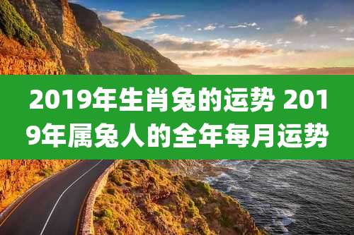 2019年生肖兔的运势 2019年属兔人的全年每月运势