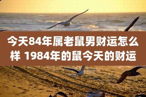 今天84年属老鼠男财运怎么样 1984年的鼠今天的财运