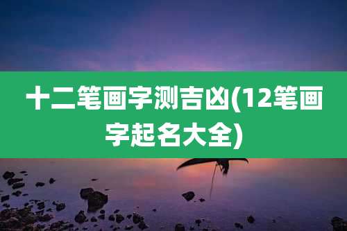 十二笔画字测吉凶(12笔画字起名大全)