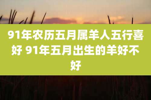 91年农历五月属羊人五行喜好 91年五月出生的羊好不好
