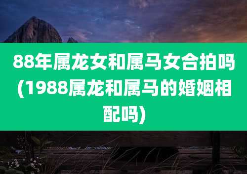 88年属龙女和属马女合拍吗(1988属龙和属马的婚姻相配吗)